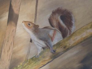  Squirrel !! / Olieverf en Acryl op MDF / 46,5x34 cm / € 200,-
